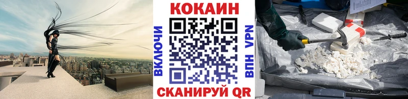 Купить закладки  Рудня  КОКАИН Fish Scale 
